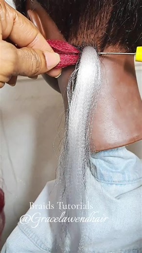 Expert Braids Tutorial: Two Shades Color Extensions