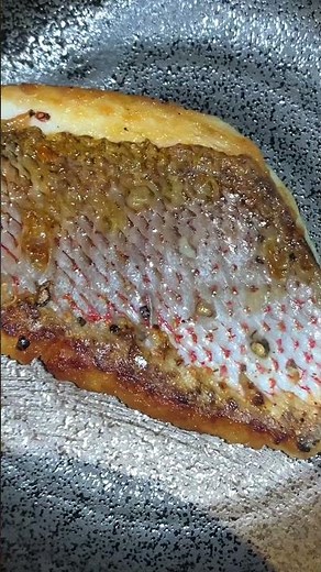 Pan seared red snapper fillet