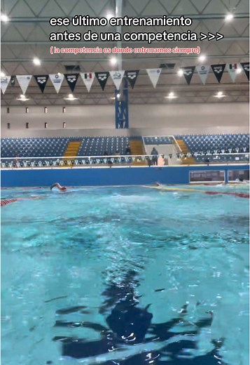 nos espera un nacional diferente 🤩🤩🤩 #fyp #swimtok #swimming #competencia #swimteam