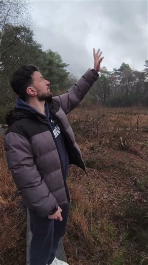 ANCIENT 🙀👽 TREE 🌴 SPOTTED 😨 #alien #fyp #tree #nature #fypp #mystery #fyppp #explore #explorepage