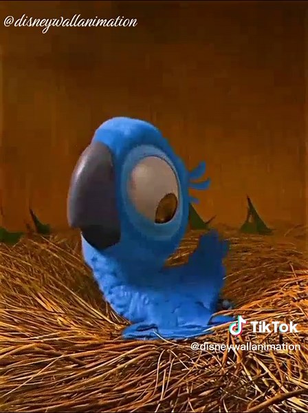 Rio: Animación y Fondos de Pantalla de Blu