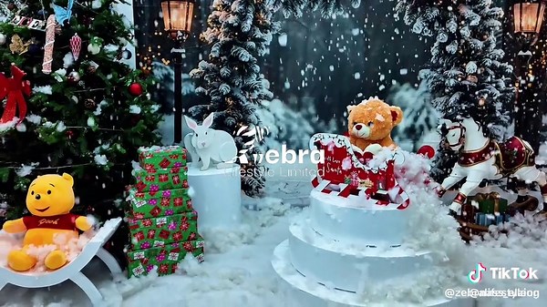 Zebra Lifestyle: Crafting Visual Masterpieces This Christmas