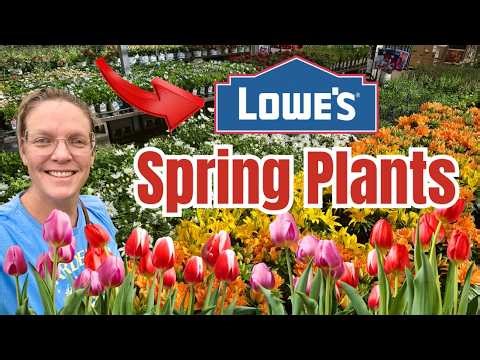 🌸 Spring Plant Shopping at Lowe’s 🌿 Annuals, Perennials & Japanese Maples