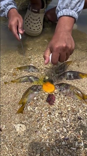 Unbelievable Beach Fishing Hack Using a Raw Egg!