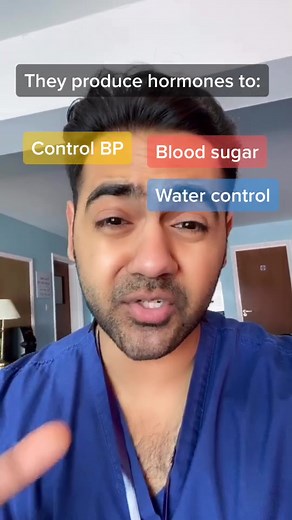 ADRENAL Glands: Functions, Removal, and Facts