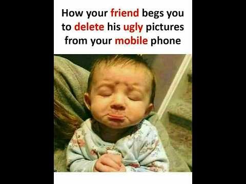 Internet’s Best Memes – This One’s Going Viral 💀