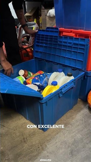Heavy-Duty Large Storage Bin 60x50x32 cm