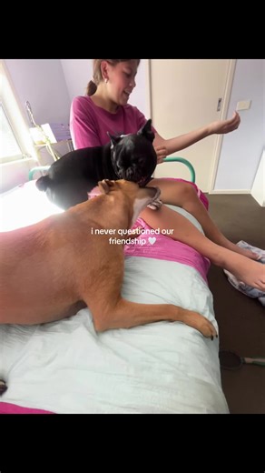 grah @Emilija #fyp #bsf #aussiebrosquad