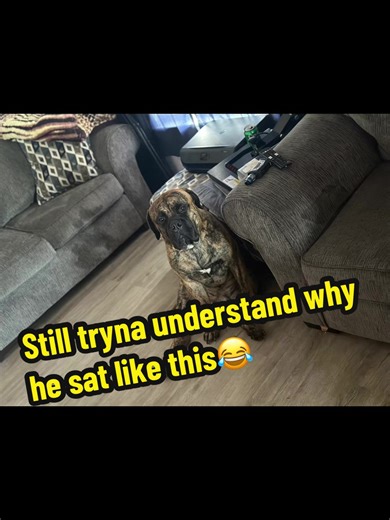 Catchemhook (@catchhohddf)’s videos with original sound - twostepsahead