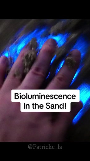 Bioluminescence in the Sand at Huntington Beach