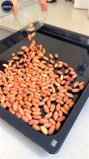 Saurashtra groundnuts — the small seed powering India’s massive export demand.