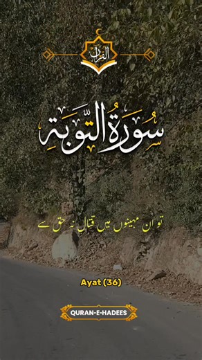 Road view ❤️😍 #trendingreels #quranverses #explorepage #facebookviral #naturephotography | Islamic World