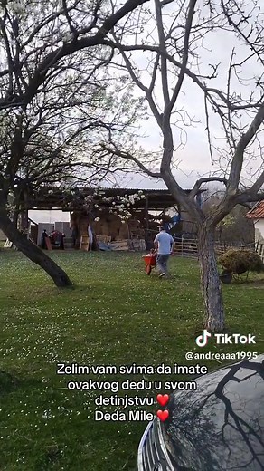 #dedamilaimafarmu #deda #tiktok #fypシ #foryoypage #foryou #valjevo #srbijatiktok