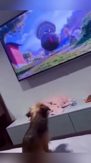 500K views · 8.9K reactions | Dogs watching tv #pet #petsoftiktok #funny #funnydog #dogsoftiktok #dog -001 | Addie K. Rodriguez | Facebook