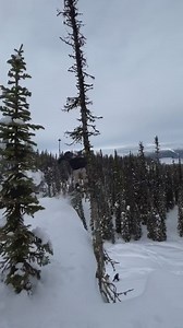 6.4K views · 100 reactions |  @dylansiggers 礪 #LINEvision • #LINEskis #MoreFunner | Line Skis | Facebook