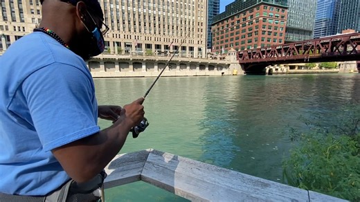 112K views · 217 reactions | If you're taking a stroll by the...