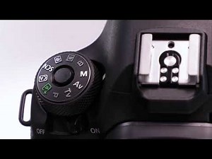 Canon EOS - 6D Mark II Auto ISO