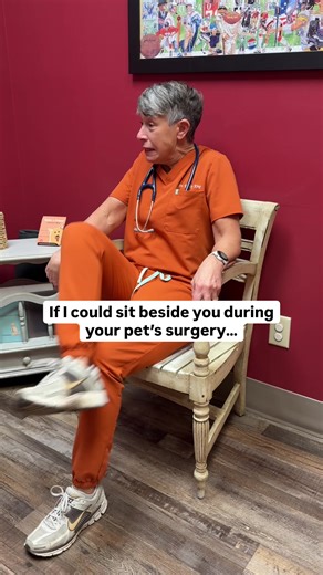 If I saw you nervously pacing I’d tell you… ❤️ Your pet is deeply LOVED here Our team cares for your dog as if they were our own (sometimes even more) and every person involved is a fierce advocate for their comfort, safety, and wellbeing. 🖥️ Your dog is continuously monitored. We use advanced monitoring equipment to watch heart rate, oxygen levels, blood pressure, temperature, and breathing the entire time… nothing goes unnoticed. 💊 Their comfort and anxiety matter. We use medications specifi