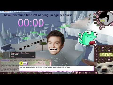 an entire day of penguin agility course - 8/22/2025