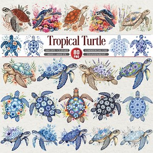 Tropical Turtle Clipart Bundle PNG Sea Turtle Art - Etsy