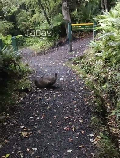 half life (0.9.4) (no effort) #halflife #halflife1