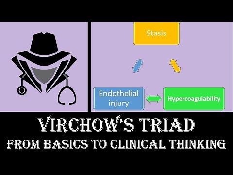 Virchow’s Triad || From Basics to Clinical