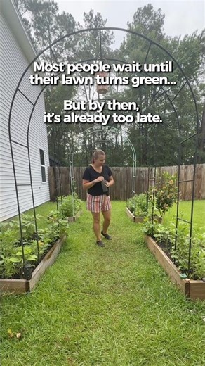 Why Your Neighbor’s Lawn Looks Better Than Yours