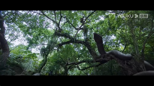 The captain caught a small snake with a slingshot, but unexpectedly, a giant python appeared behind him! 船长用弹弓钓到一条小蛇，不料紧接着一只巨蟒出现在他身后！ #蛇岛狂蟒 #SnakeIslandPython #优酷电影 #youkumovie | Youku Movie