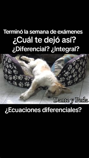 98K views · 867 reactions | Te ENSEÑO a DOMINAR el CÁLCULO INTEGRAL #teacher #matematicas #mathematics #MathTutor Universidad Central del Ecuador Universidad de las Fuerzas Armadas Escuela Politécnica Nacional Ecuador Quito Ecuador | Preuniversitario ScienceCorp | Facebook