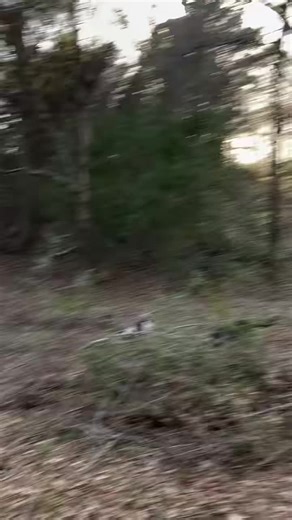 heychickennuggetgirl (@heychickennuggetgirl_)’s videos with nhạc nền - heychickennuggetgirl