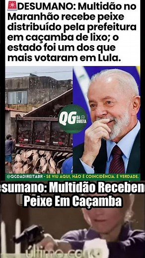 Desumano: Peixes em caçamba de lixo no Maranhão chocam a internet! 🐟