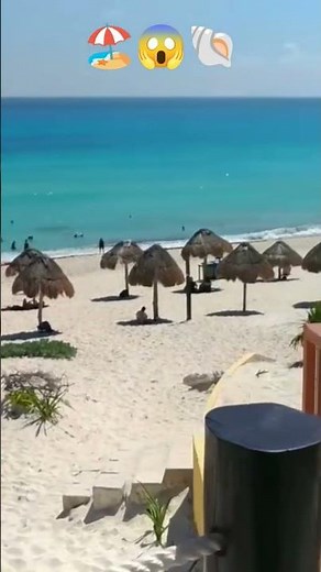 WOW, WHAT A BEAUTIFUL PLACE! Dolphin Beach: The Most Visited Beach in Cancun 😱🌊🔥