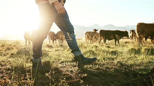 GDP growth not as strong as hoped in fourth quarter