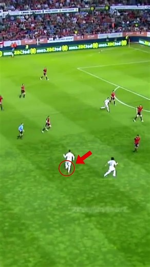 Who Scored The Longest goal in history? #football #soccer #davidbeckham #zlatanibrahimovic #insanegoals