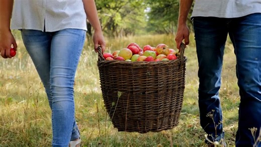 What's your favorite Fall activity in FL to do on a Saturday? 🎃 Exploring the Local Pumpkin Patch 🍏 Apple Picking 🧺 Picnic in the Park 📺 Movie Marathon with a Cozy Hot Beverage Tell us your pick in the comments! #SaturdayPoll #happyfall #familyfun | The Insurance Store USA