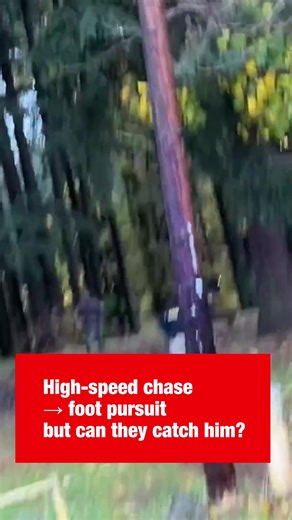 3.8K views · 183 reactions |  Deported Illegal Alien Tries to Escape ICE — Crashes, Then Runs Into Woods... Watch the FULL video in the first comment... | United Veterans Alliance | Facebook