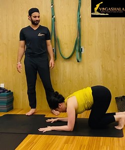 Forearm Stand to Jump Back And Jump Front Practice By (Aditya Raturi) | YOGA GOALS