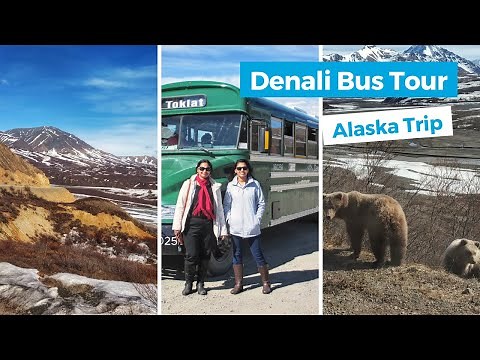 Denali Bus Tour | Denali National Park and Preserve | Alaska Trip