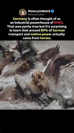 The Germans Horse Army WW2 #shorts