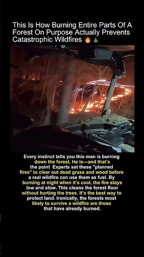 How Planned Fires Protect Your Home #wildfireprep #forestfire #safety