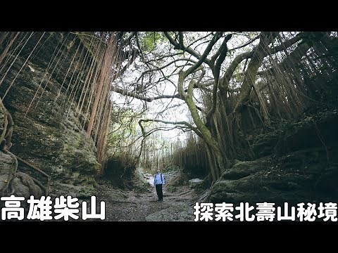 高雄柴山隱藏好多神秘景觀！探索北壽山環狀步道秘境，猴子老樹、礁石岩洞、峽谷斷崖一次滿足