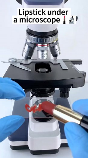 51K views · 758 reactions | Lipstick look cool at 400x magnification! #microscope | Home Making II | Facebook