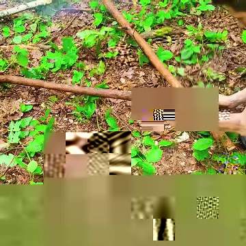 6.6K views · 133 reactions | Building a super primitive viking house built in the rain bushcraft camp survival.#survival #adventure #wilderness #camping #bushcraftcamping​ #logcabin #cabin | Alex Bushcraft | Facebook