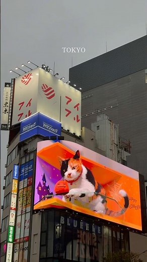 Tokyo, Japan - 10 things to do 🇯🇵