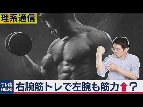 「片腕だけ筋トレ」で逆の腕も筋力アップ！？ 国際研究チームが報告【橋本幸治の理系通信】（2020年10月27日）