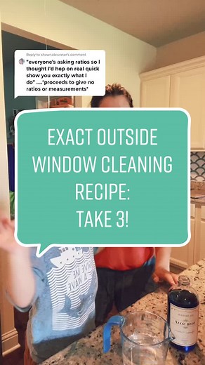 Outside Window Cleaner Recipe - Cleaning TikTok Hack