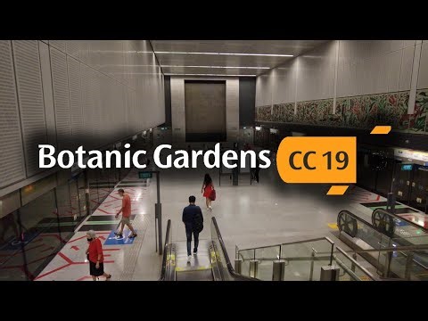 CC19 Botanic Gardens MRT Station: Exit A to Platforms | Circle Line