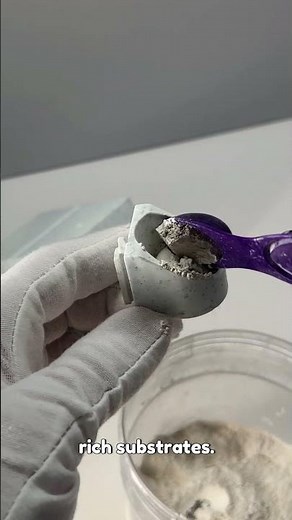 Calcium Bowl for Leopard Gecko?!