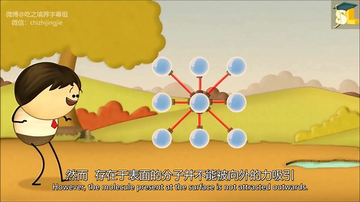 【英文科普】surface tension 表面张力（中英双字幕）