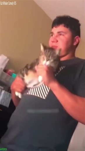 Cat videos 😼 Cat Fails ❤️ # Ep 3567